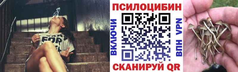 Галлюциногенные грибы мицелий  Купить где  Завитинск 