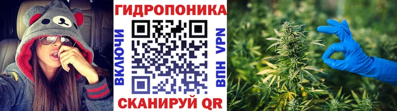 Конопля Ganja  Купить где  Завитинск 